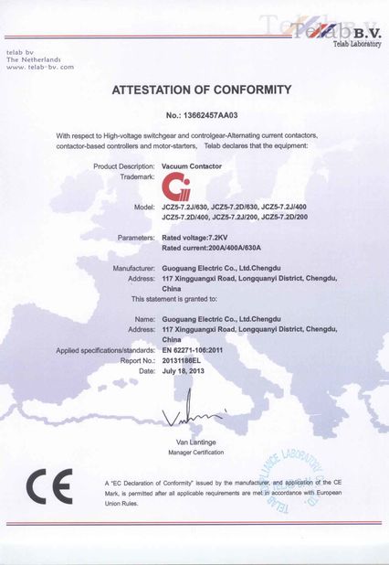 China Chengdu Guoguang Elecric Co.,Ltd Certificações